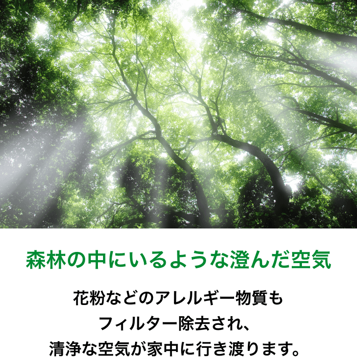 森林の中にいるような澄んだ空気 | 花粉などのアレルギー物質もフィルター除去され、清浄な空気が家中に行き渡ります。